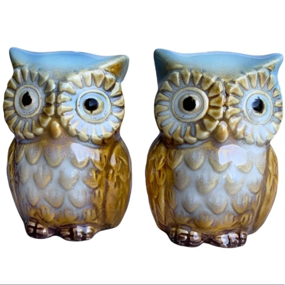Owl Salt and Pepper Shaker Set Glazed Ceramic Hand Painted Owl Decor 2 Piece Set